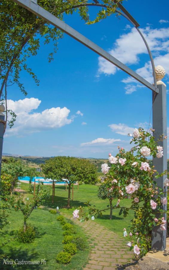 Villa D'Andrea Caltagirone Eksteriør billede